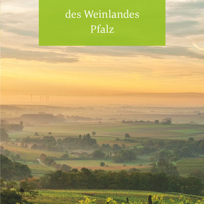 Panoramakarte Pfalz  Pfalzwein e. V.