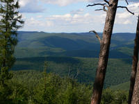 Bild vergrößern: Sanfte Hügel im Naturpark Pfälzerwald